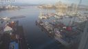./images/victoria/wharf/20240209/wharf20240209_084500.jpg