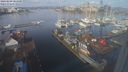 ./images/victoria/wharf/20240209/wharf20240209_104001.jpg