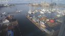 ./images/victoria/wharf/20240209/wharf20240209_105500.jpg