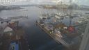 ./images/victoria/wharf/20240209/wharf20240209_113000.jpg