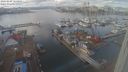 ./images/victoria/wharf/20240209/wharf20240209_124500.jpg
