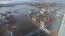./images/victoria/wharf/20240209/wharf20240209_144000.jpg