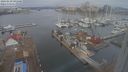 ./images/victoria/wharf/20240210/wharf20240210_091500.jpg