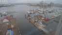 ./images/victoria/wharf/20240210/wharf20240210_100500.jpg