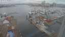 ./images/victoria/wharf/20240210/wharf20240210_102500.jpg