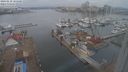 ./images/victoria/wharf/20240210/wharf20240210_105500.jpg