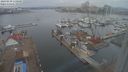./images/victoria/wharf/20240210/wharf20240210_110000.jpg