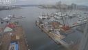 ./images/victoria/wharf/20240210/wharf20240210_110500.jpg