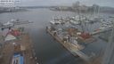 ./images/victoria/wharf/20240210/wharf20240210_111000.jpg