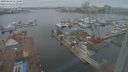 ./images/victoria/wharf/20240210/wharf20240210_111500.jpg