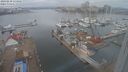 ./images/victoria/wharf/20240210/wharf20240210_114501.jpg