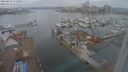 ./images/victoria/wharf/20240210/wharf20240210_115501.jpg