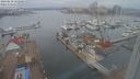 ./images/victoria/wharf/20240210/wharf20240210_122500.jpg