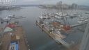 ./images/victoria/wharf/20240210/wharf20240210_124000.jpg