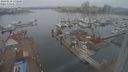./images/victoria/wharf/20240210/wharf20240210_132000.jpg