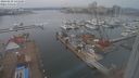 ./images/victoria/wharf/20240210/wharf20240210_141000.jpg