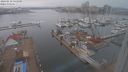 ./images/victoria/wharf/20240210/wharf20240210_143501.jpg