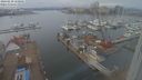 ./images/victoria/wharf/20240210/wharf20240210_150501.jpg