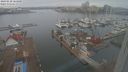 ./images/victoria/wharf/20240210/wharf20240210_163501.jpg