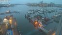 ./images/victoria/wharf/20240211/wharf20240211_073000.jpg