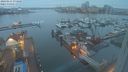 ./images/victoria/wharf/20240211/wharf20240211_073500.jpg