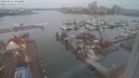 ./images/victoria/wharf/20240211/wharf20240211_075000.jpg