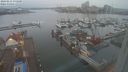 ./images/victoria/wharf/20240211/wharf20240211_075500.jpg