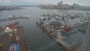 ./images/victoria/wharf/20240211/wharf20240211_080000.jpg