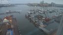 ./images/victoria/wharf/20240211/wharf20240211_080500.jpg