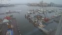 ./images/victoria/wharf/20240211/wharf20240211_081500.jpg
