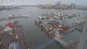./images/victoria/wharf/20240211/wharf20240211_082000.jpg