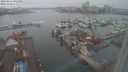 ./images/victoria/wharf/20240211/wharf20240211_082500.jpg