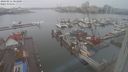 ./images/victoria/wharf/20240211/wharf20240211_083000.jpg