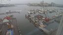./images/victoria/wharf/20240211/wharf20240211_083501.jpg