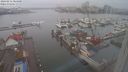 ./images/victoria/wharf/20240211/wharf20240211_084000.jpg