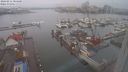 ./images/victoria/wharf/20240211/wharf20240211_084500.jpg