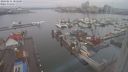 ./images/victoria/wharf/20240211/wharf20240211_085001.jpg