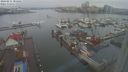 ./images/victoria/wharf/20240211/wharf20240211_085501.jpg