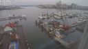 ./images/victoria/wharf/20240211/wharf20240211_090000.jpg