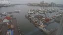 ./images/victoria/wharf/20240211/wharf20240211_090500.jpg
