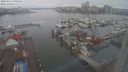 ./images/victoria/wharf/20240211/wharf20240211_091000.jpg