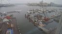 ./images/victoria/wharf/20240211/wharf20240211_091500.jpg
