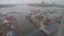 ./images/victoria/wharf/20240211/wharf20240211_092000.jpg