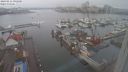 ./images/victoria/wharf/20240211/wharf20240211_092500.jpg