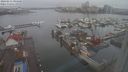 ./images/victoria/wharf/20240211/wharf20240211_094500.jpg