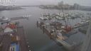 ./images/victoria/wharf/20240211/wharf20240211_095000.jpg