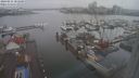./images/victoria/wharf/20240211/wharf20240211_101001.jpg