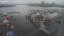 ./images/victoria/wharf/20240211/wharf20240211_101500.jpg