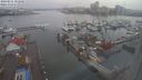 ./images/victoria/wharf/20240211/wharf20240211_102001.jpg