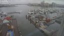 ./images/victoria/wharf/20240211/wharf20240211_102500.jpg
